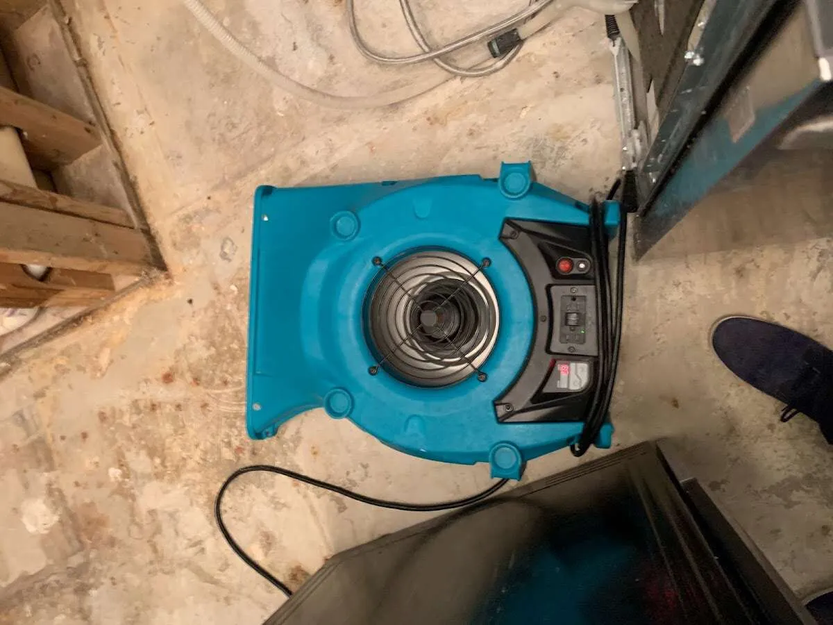 Air mover drying equipment for Mold Remediation & Removal in Gunbarrel