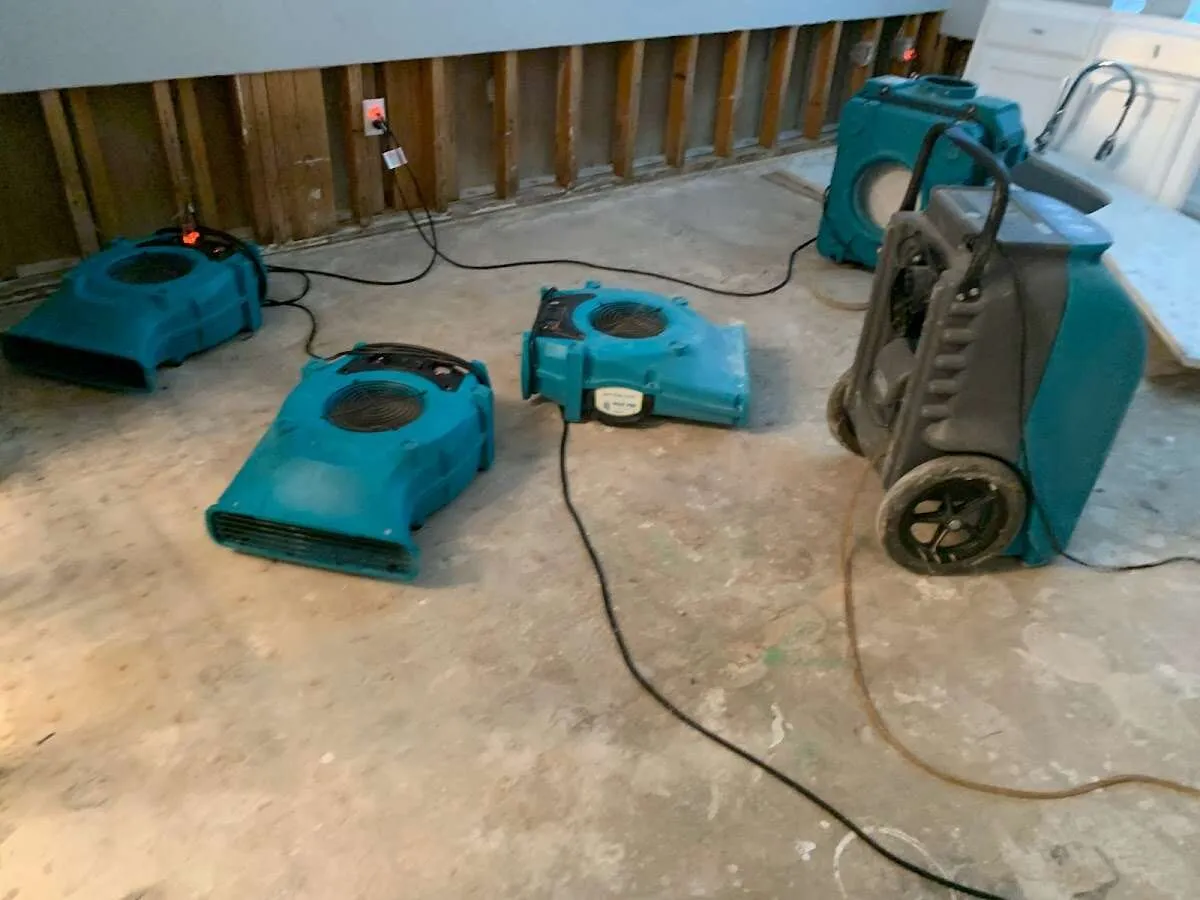 Emergency Water Damage Services in Gunbarrel, CO